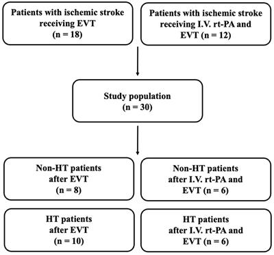 MMP-9 upregulation may predict hemorrhagic transformation after endovascular thrombectomy